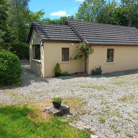 Sea View 1-Bed Cottage With Private Garden Skibbereen Exterior foto