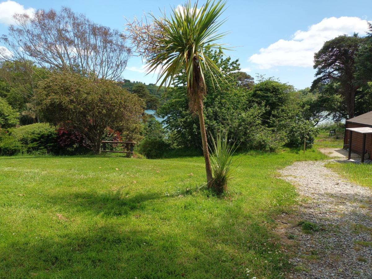 Sea View 1-Bed Cottage With Private Garden Skibbereen Exterior foto