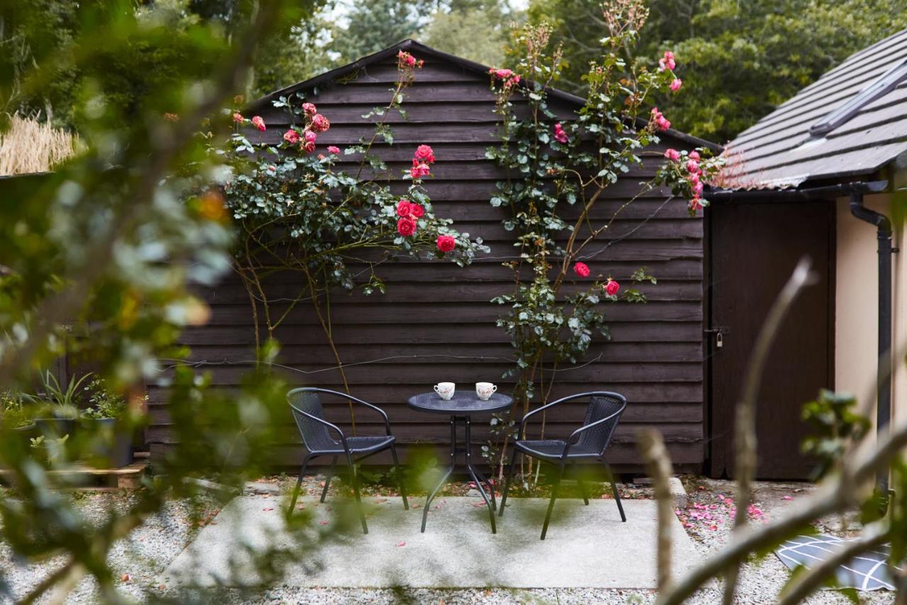 Sea View 1-Bed Cottage With Private Garden Skibbereen Exterior foto