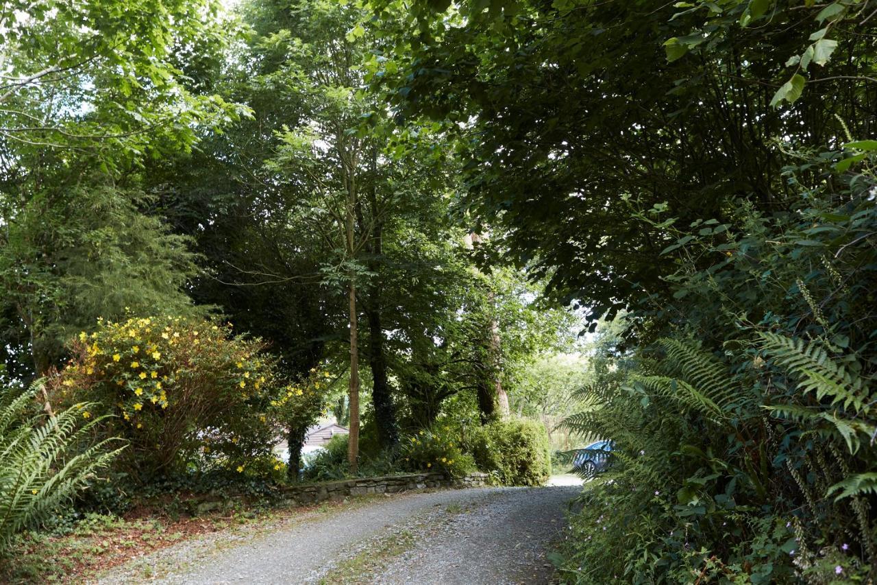 Sea View 1-Bed Cottage With Private Garden Skibbereen Exterior foto